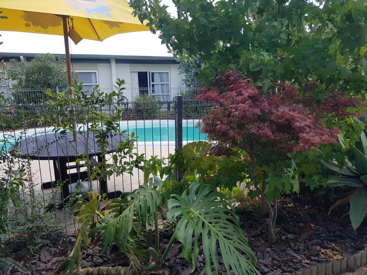 Parkview Motel ดาร์กาวิลล์ ภายนอก รูปภาพ